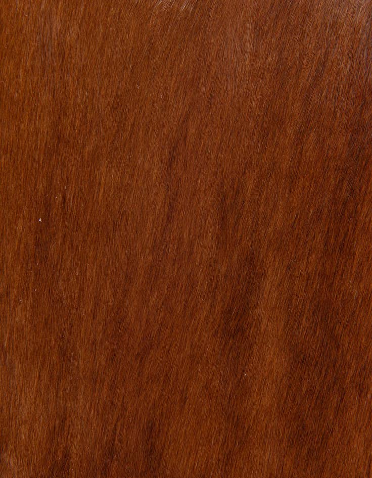 Detail image of 1' 8 x 2' 6 Cowhide Leather Rug