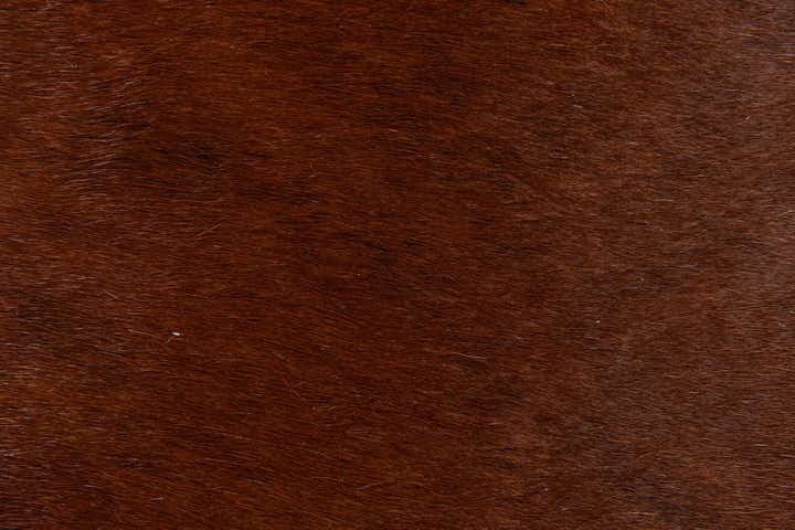 1' 8 x 2' 6 Cowhide Leather Rug