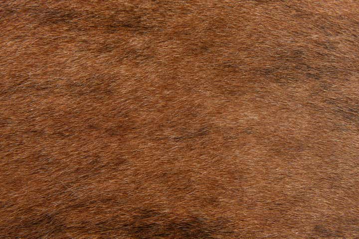 1' 5 x 2' 5 Cowhide Leather Rug