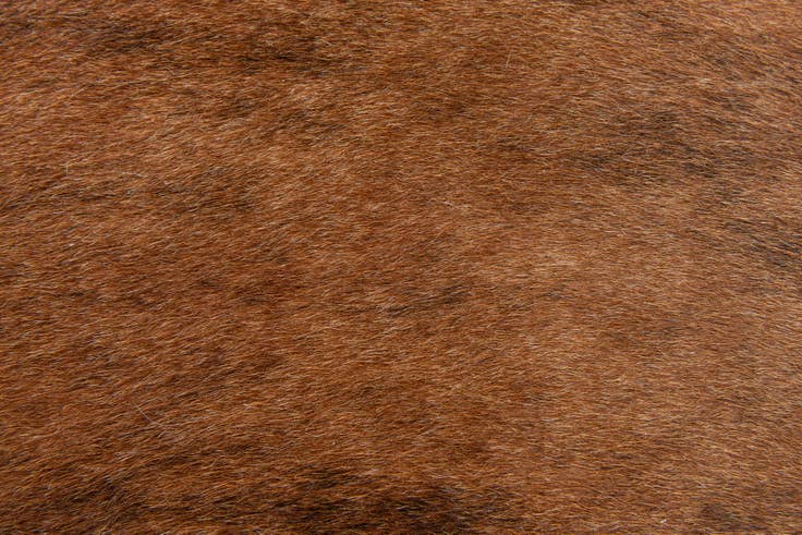 Detail image of 1' 5 x 2' 5 Cowhide Leather Rug