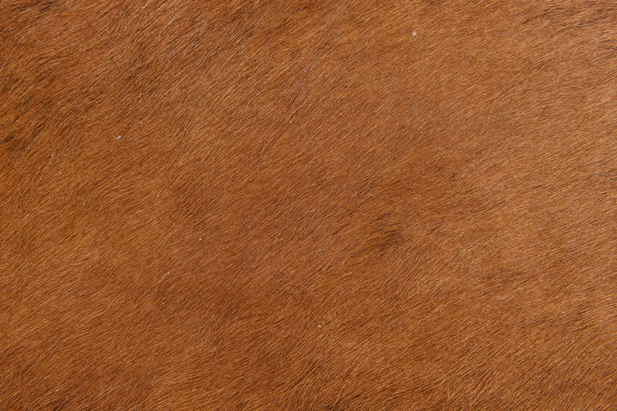 1' 7 x 2' 5 Cowhide Leather Rug