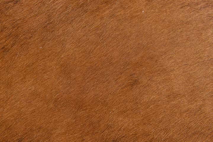 1' 7 x 2' 5 Cowhide Leather Rug