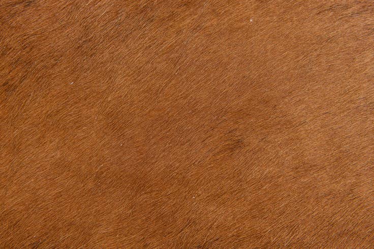Detail image of 1' 7 x 2' 5 Cowhide Leather Rug