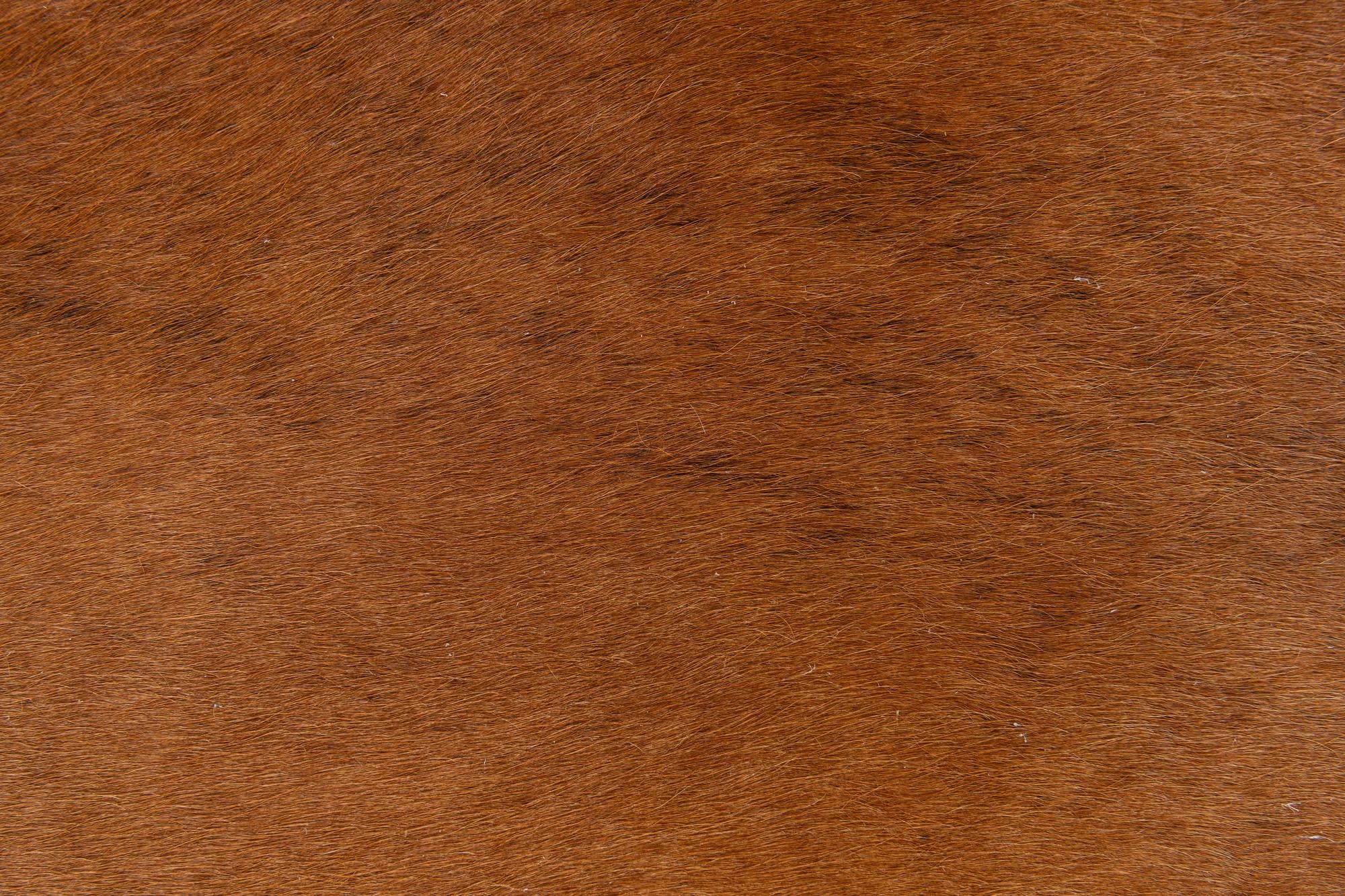50cm x 75cm Cowhide Leather Alfombra
