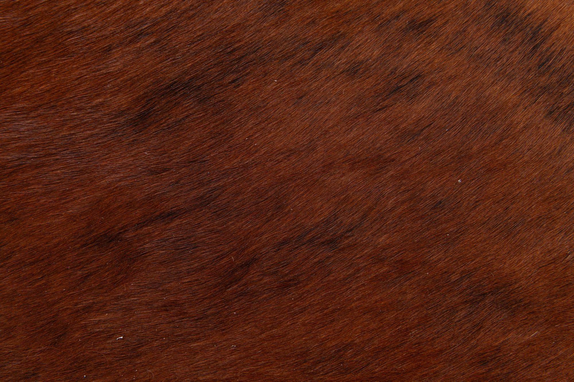 1' 8 x 2' 6 Cowhide Leather Rug