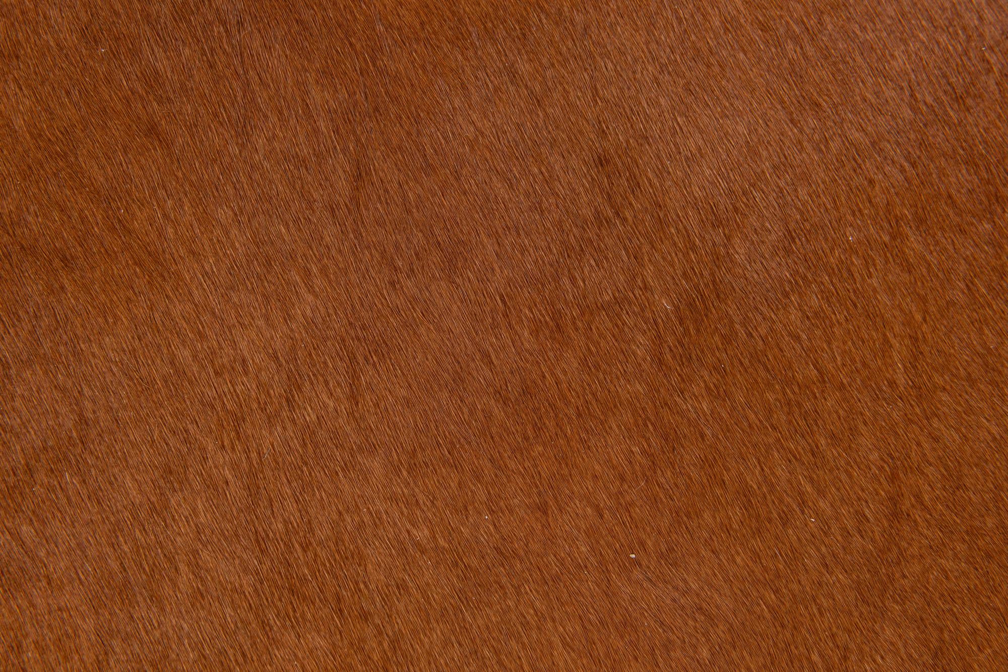1' 8 x 2' 7 Cowhide Leather Rug