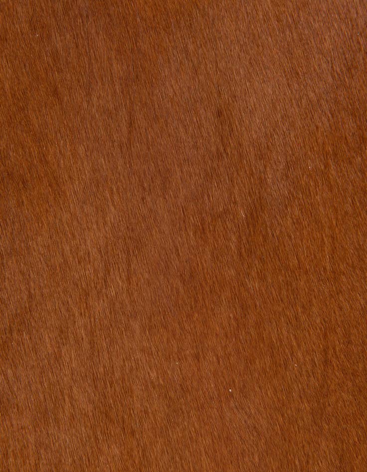 Detail image of 1' 8 x 2' 7 Cowhide Leather Rug