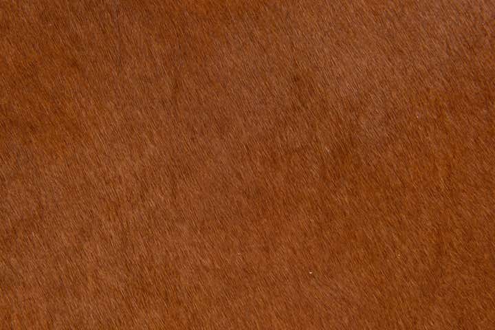 1' 8 x 2' 7 Cowhide Leather Rug