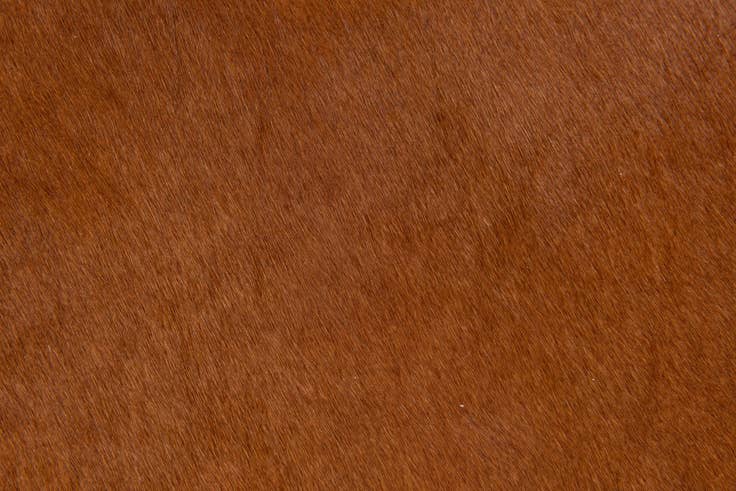 Detail image of 1' 8 x 2' 7 Cowhide Leather Rug