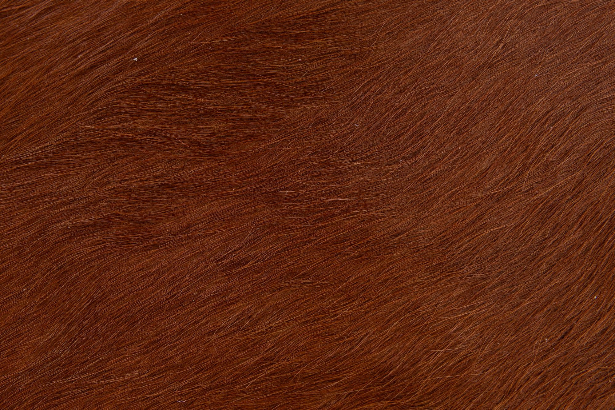 1' 8 x 2' 7 Cowhide Leather Rug
