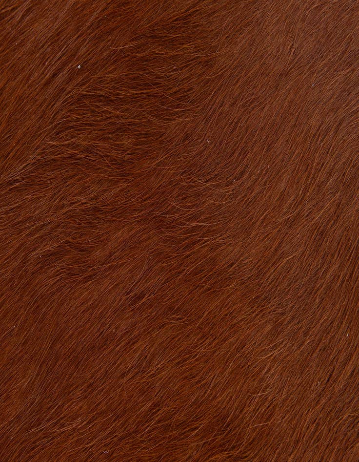 Detail image of 1' 8 x 2' 7 Cowhide Leather Rug