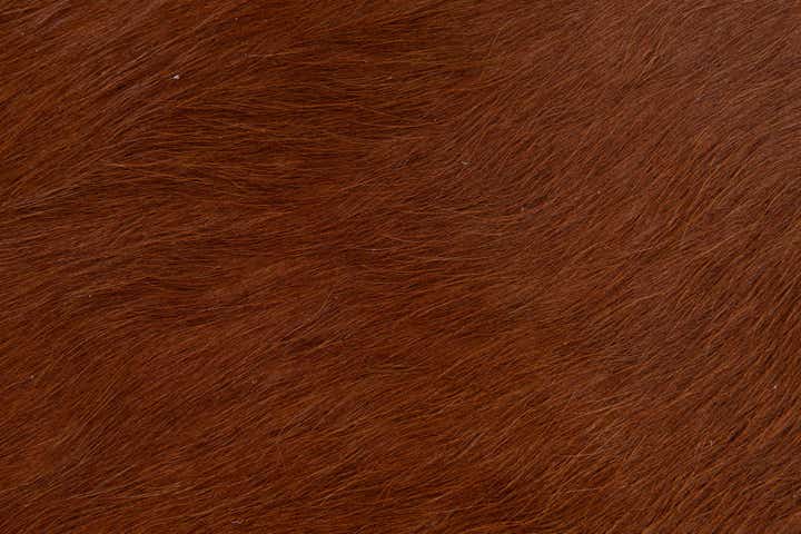 1' 8 x 2' 7 Cowhide Leather Rug