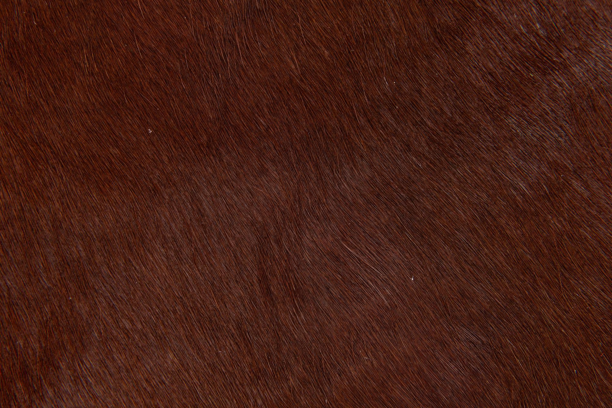 1' 8 x 2' 7 Cowhide Leather Rug