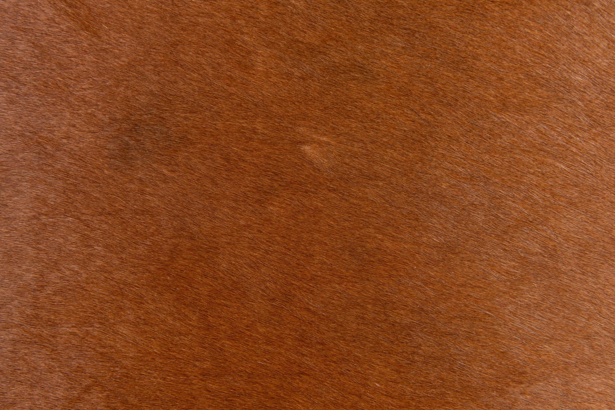1' 8 x 2' 7 Cowhide Leather Rug