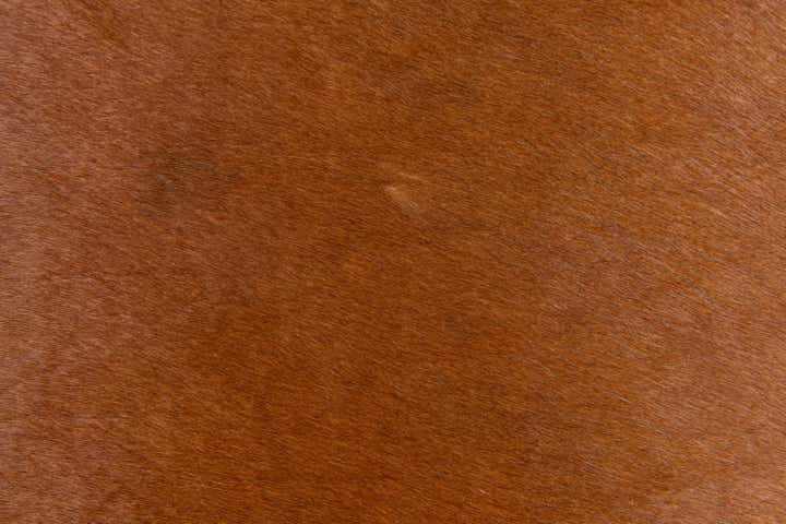 1' 8 x 2' 7 Cowhide Leather Rug