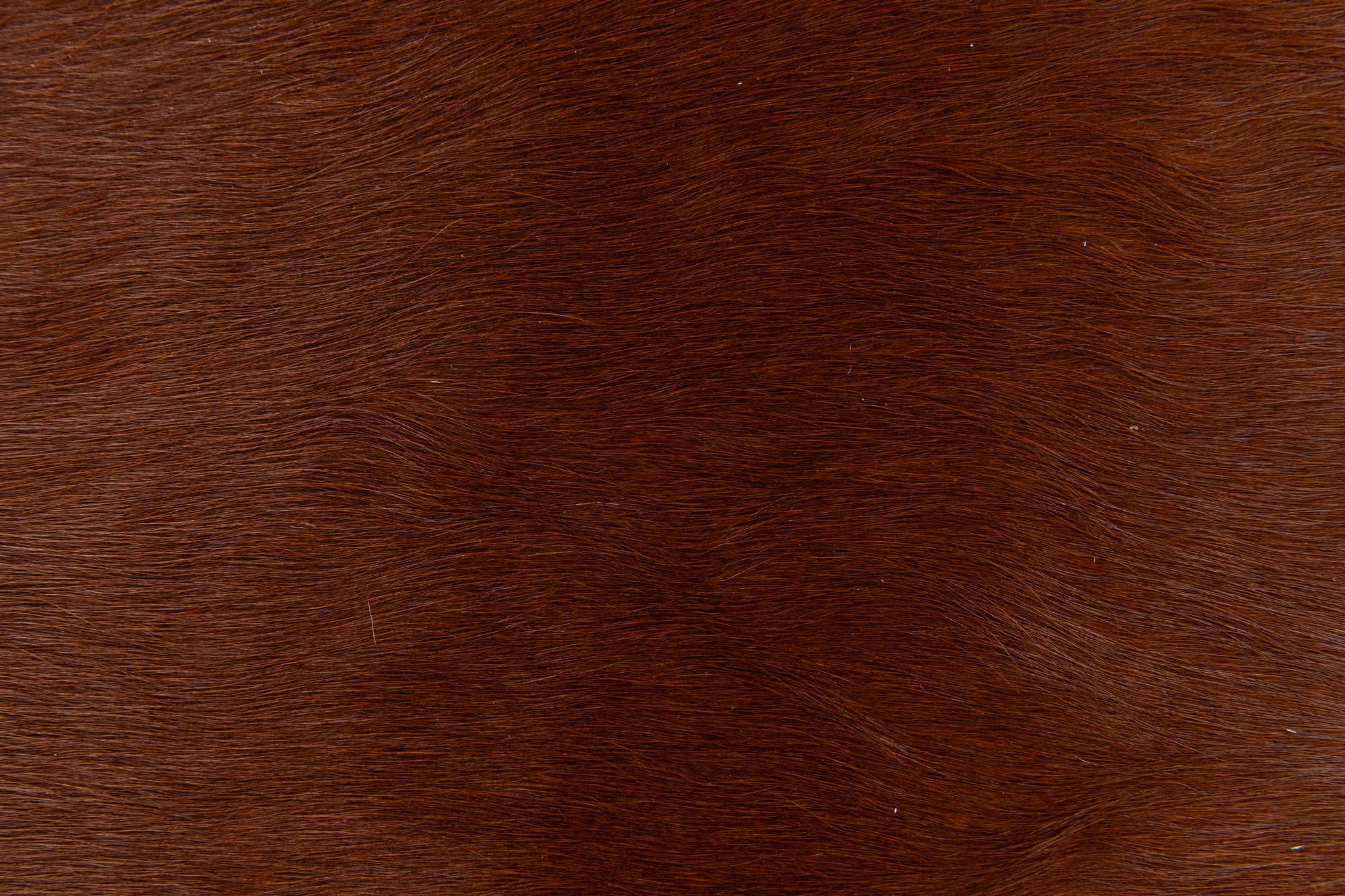 1' 8 x 2' 7 Cowhide Leather Rug