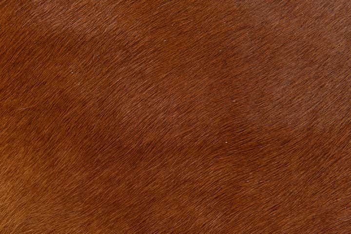 1' 8 x 2' 7 Cowhide Leather Rug
