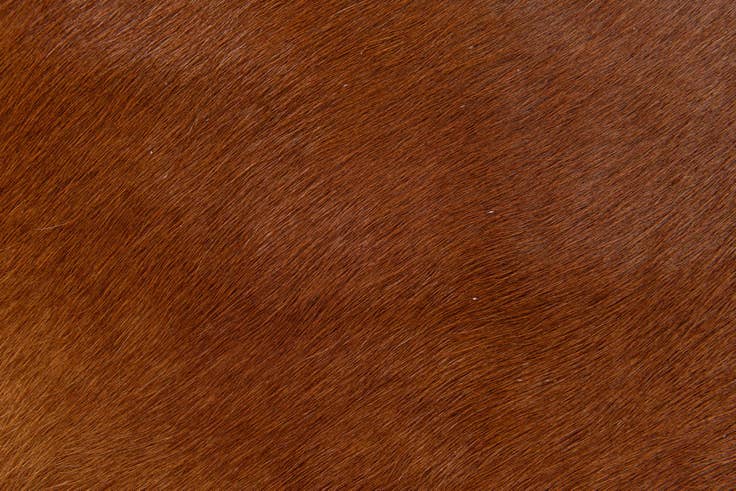 Detail image of 1' 8 x 2' 7 Cowhide Leather Rug
