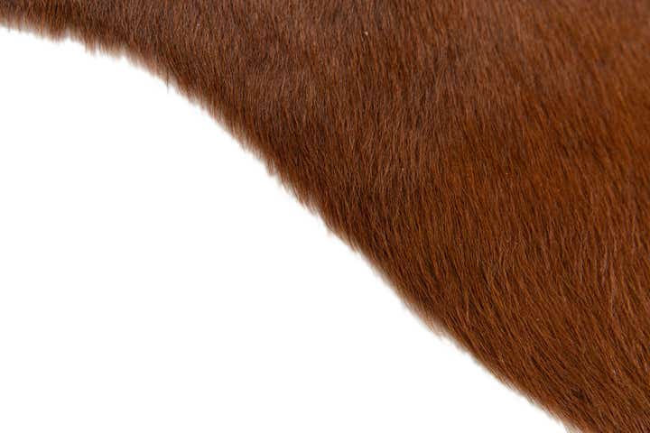 1' 8 x 2' 7 Cowhide Leather Rug