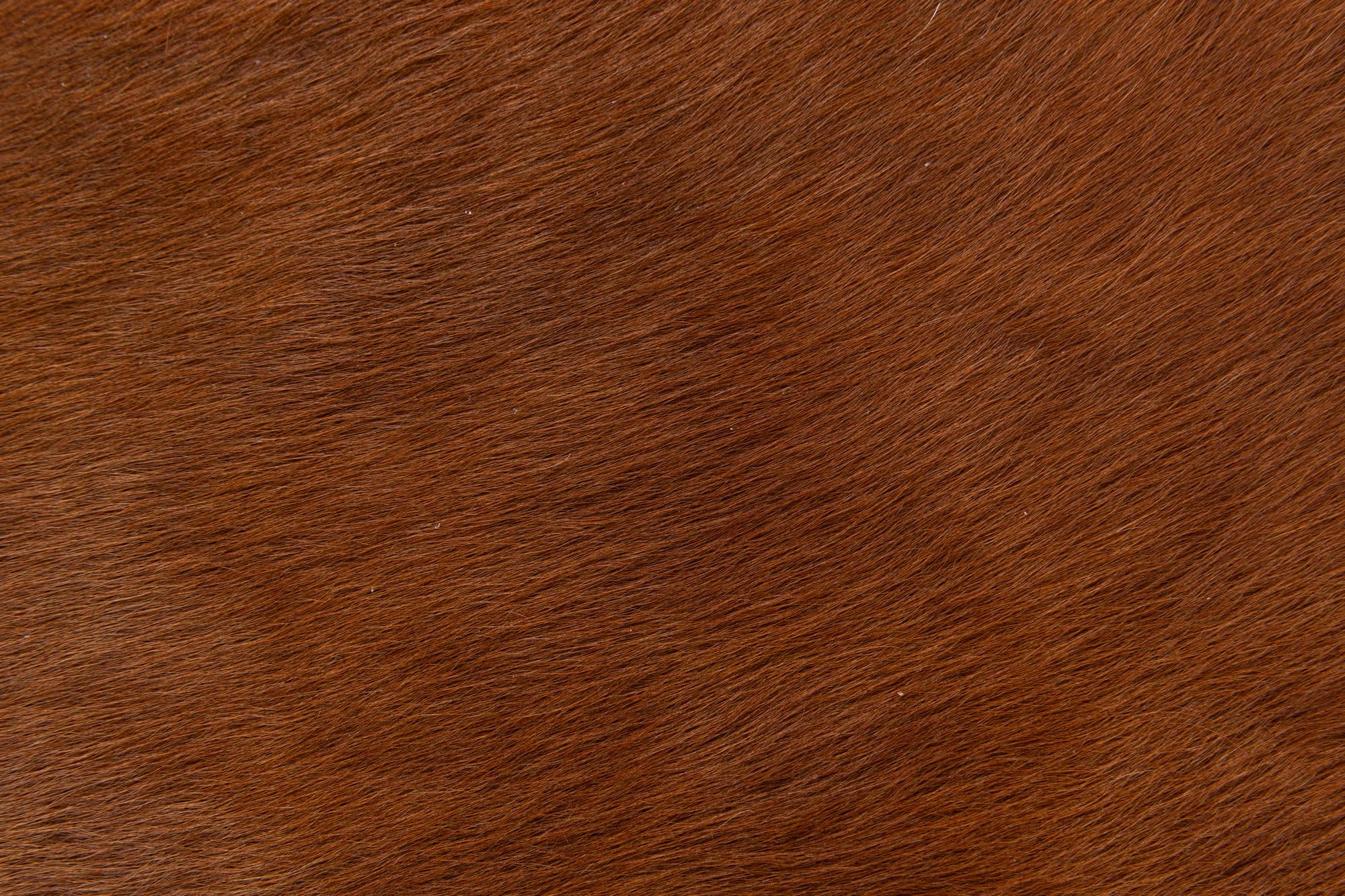 1' 8 x 2' 7 Cowhide Leather Rug