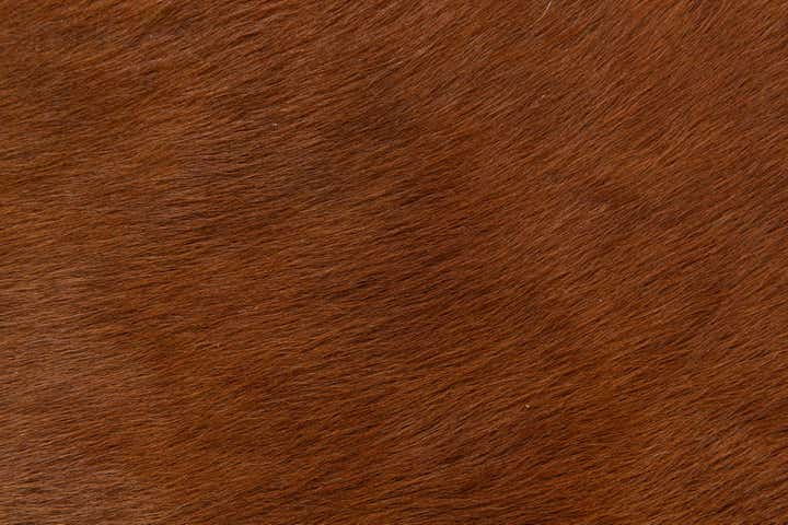 1' 8 x 2' 7 Cowhide Leather Rug