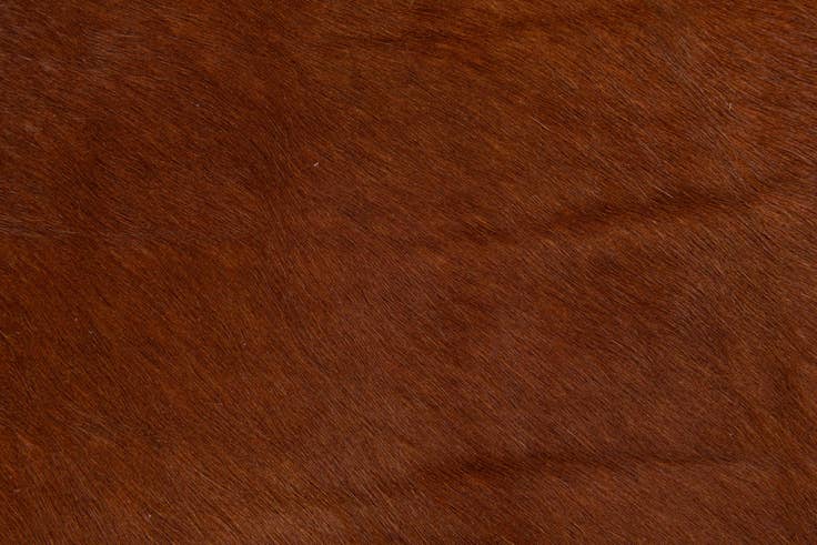 Detail image of 1' 8 x 2' 7 Cowhide Leather Rug