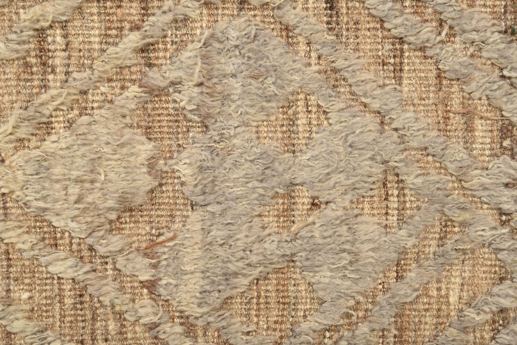 8' 10 x 12' 7 Hand Knotted Darya Wool Rug