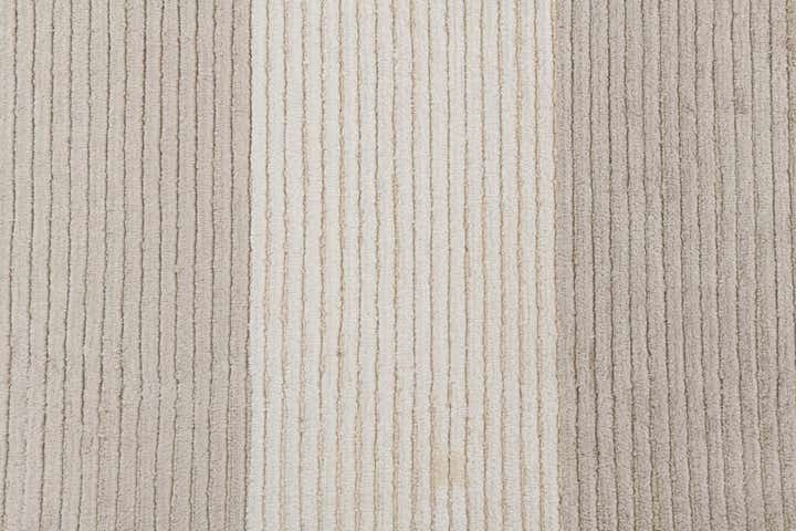 8' 2 x 11' 6 Hand Knotted Darya Wool Rug