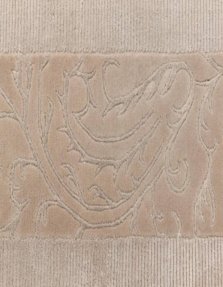 Detail image of 2' 8 x 5' 1  Hand Knotted Darya Wool Rug