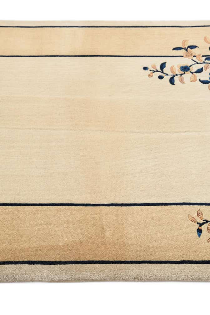 3' 1 x 5' Hand Knotted Darya Wool Rug