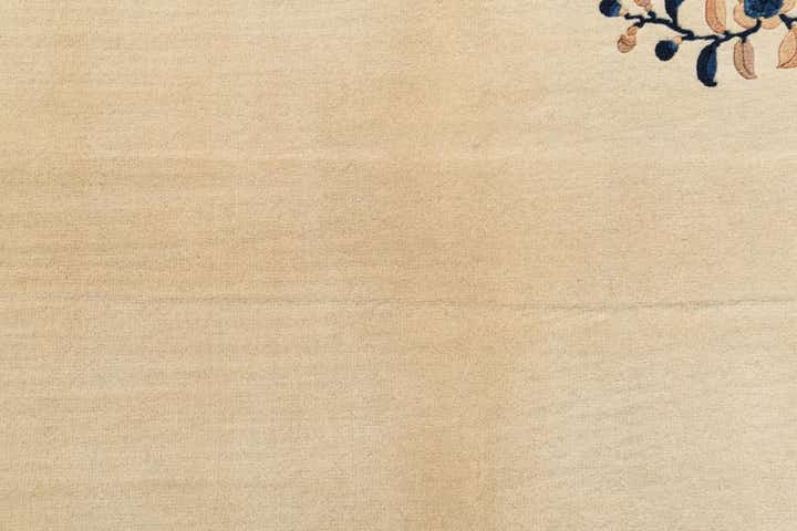 3' 1 x 5' Hand Knotted Darya Wool Rug