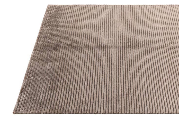 Detail image of 3' 11 x 5' 10 Darya Rug