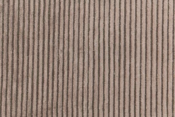 3' 11 x 5' 10 Darya Rug