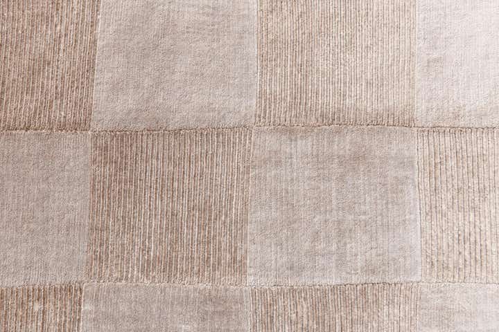 3' 11 x 6' 1 Darya Rug