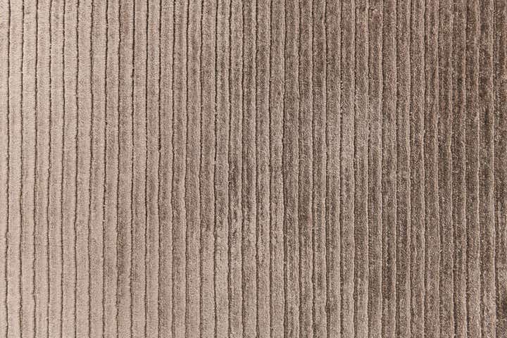 4' x 6' 2 Darya Rug