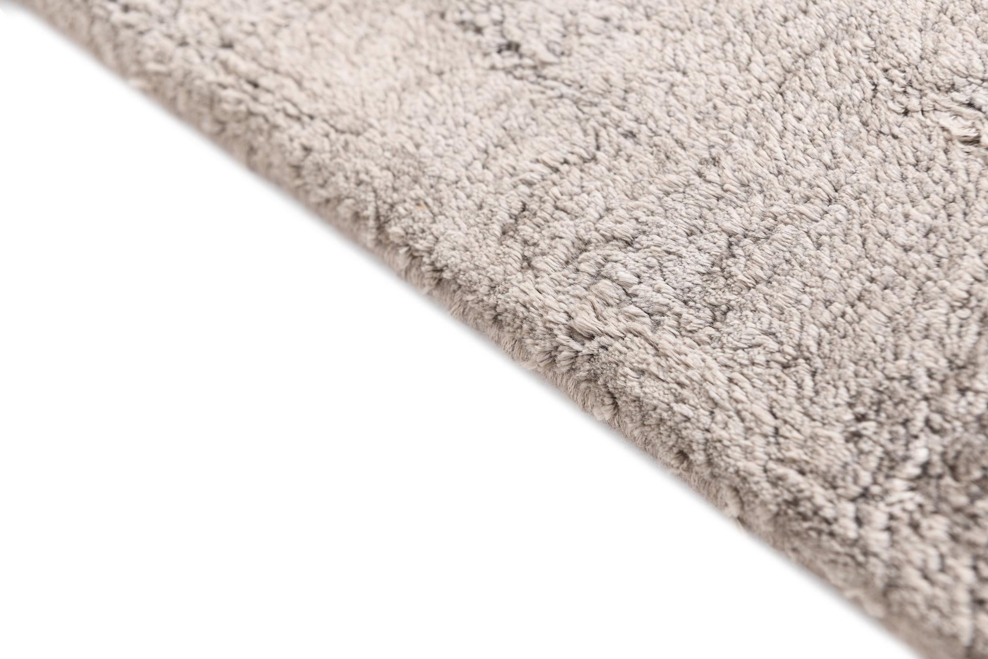 3' 10 x 5' 11 Darya Rug