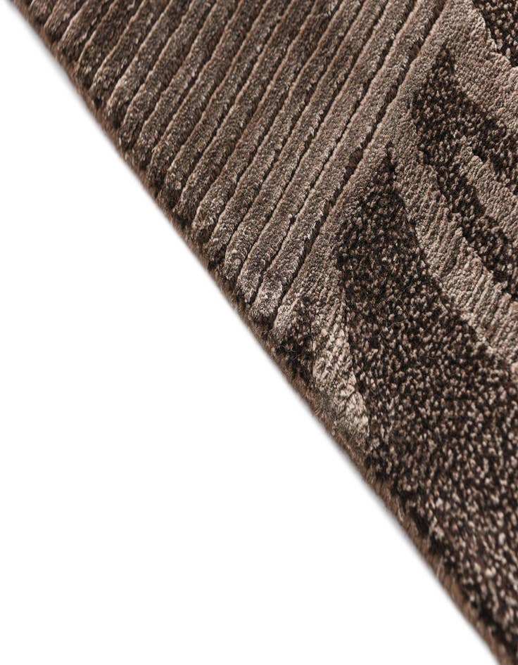 Detail image of 3' 11 x 6' Darya Rug