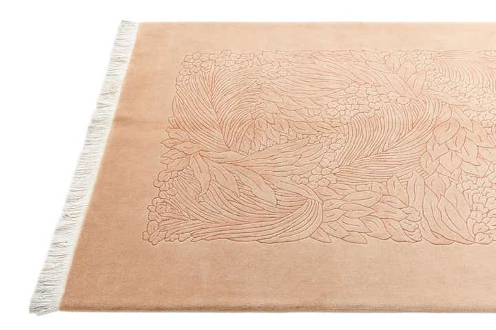 3' 11 x 5' 10 Darya Rug