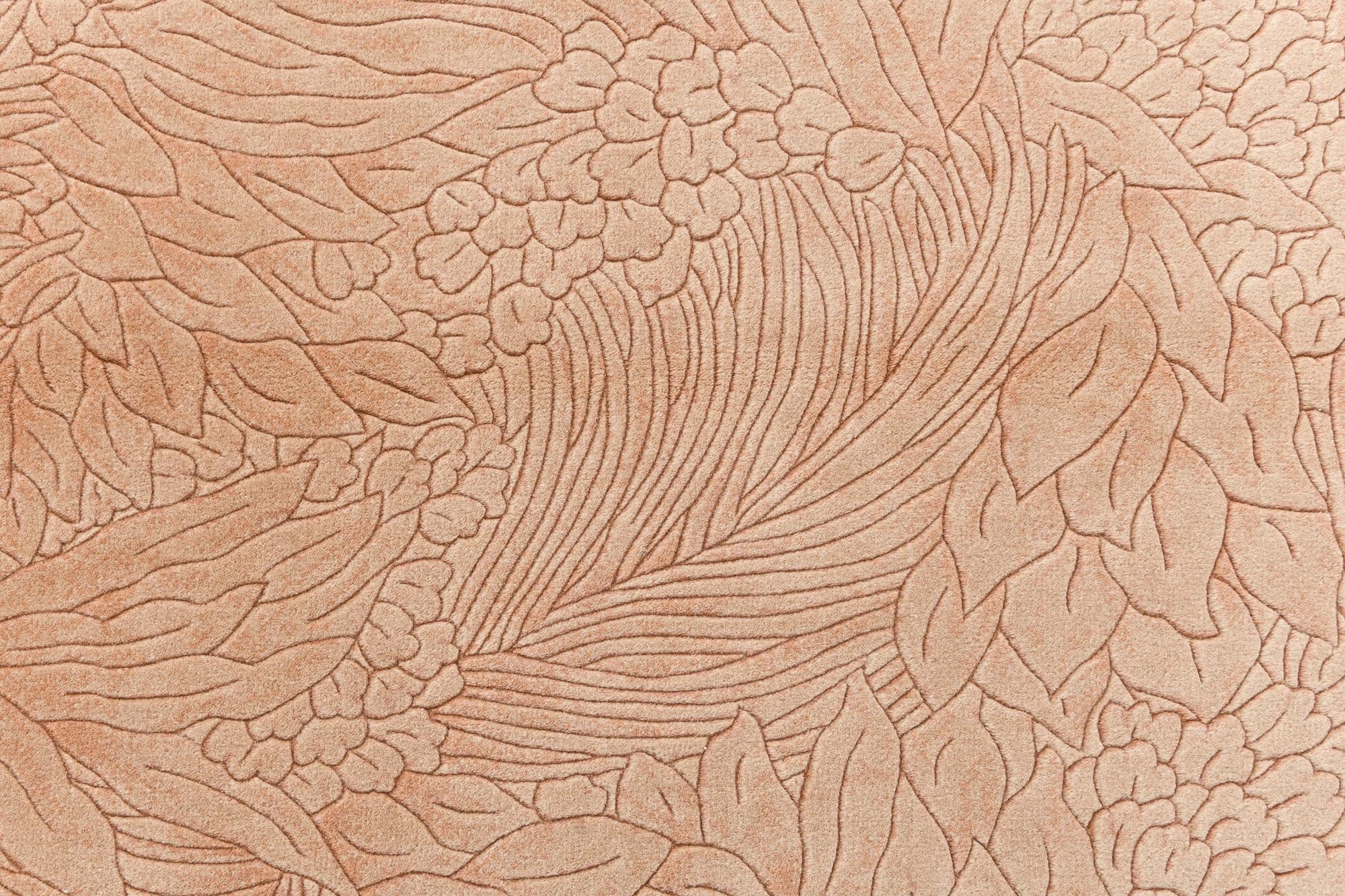 3' 11 x 5' 10 Darya Rug