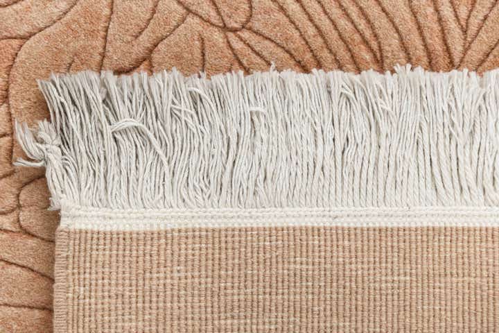 3' 11 x 5' 10 Darya Rug