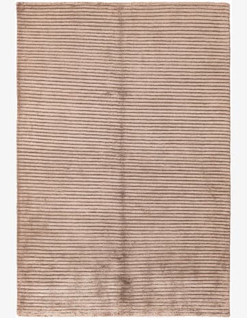 3' 11 x 5' 10 Darya Rug