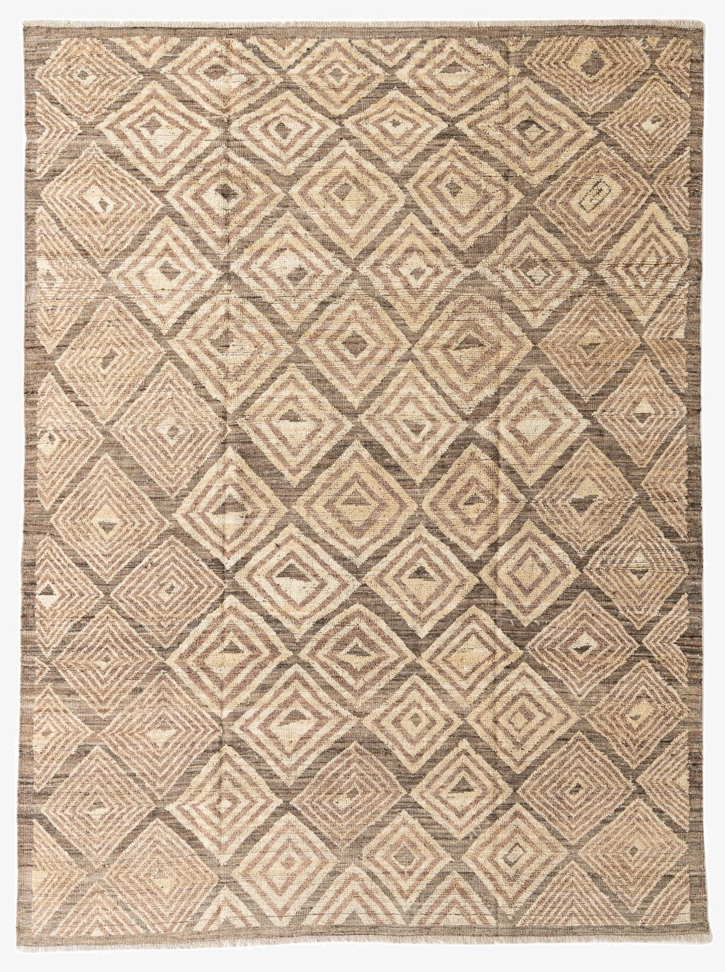 9' 1 x 12' 1 Hand Knotted Darya Wool Rug