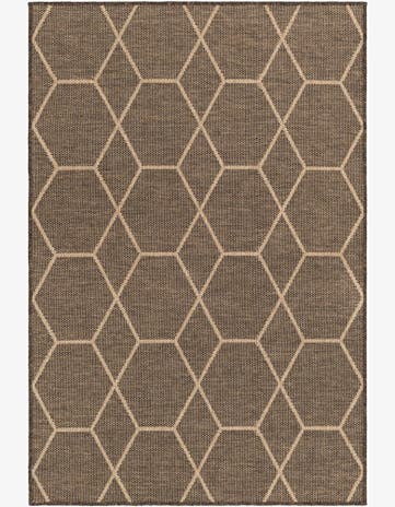 4' 3 x 6' Dunes Rug