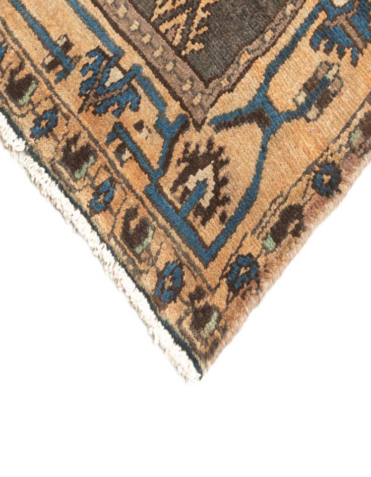 Detail image of 4' 2 x 9' 3 Hamedan Rug