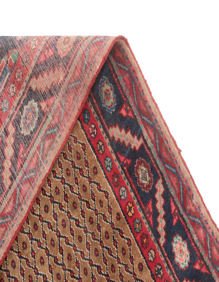 Detail image of 5' 3 x 9' 8 Hamedan Rug