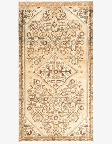 3' 3 x 6' 1 Hamedan Rug