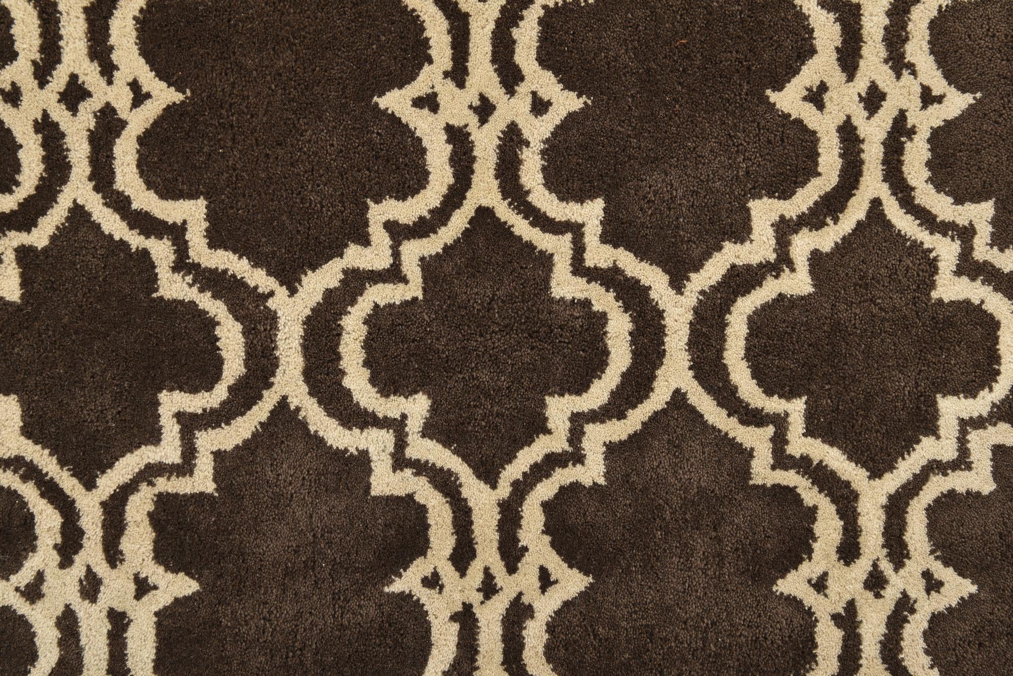 5' x 7' 11 Luna Rug