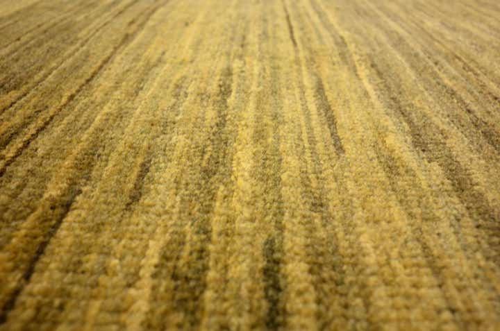 3' 10 x 5' 9 Hand Knotted Modern Ziegler Oriental Rug