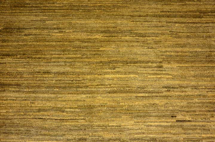 3' 10 x 5' 9 Hand Knotted Modern Ziegler Oriental Rug