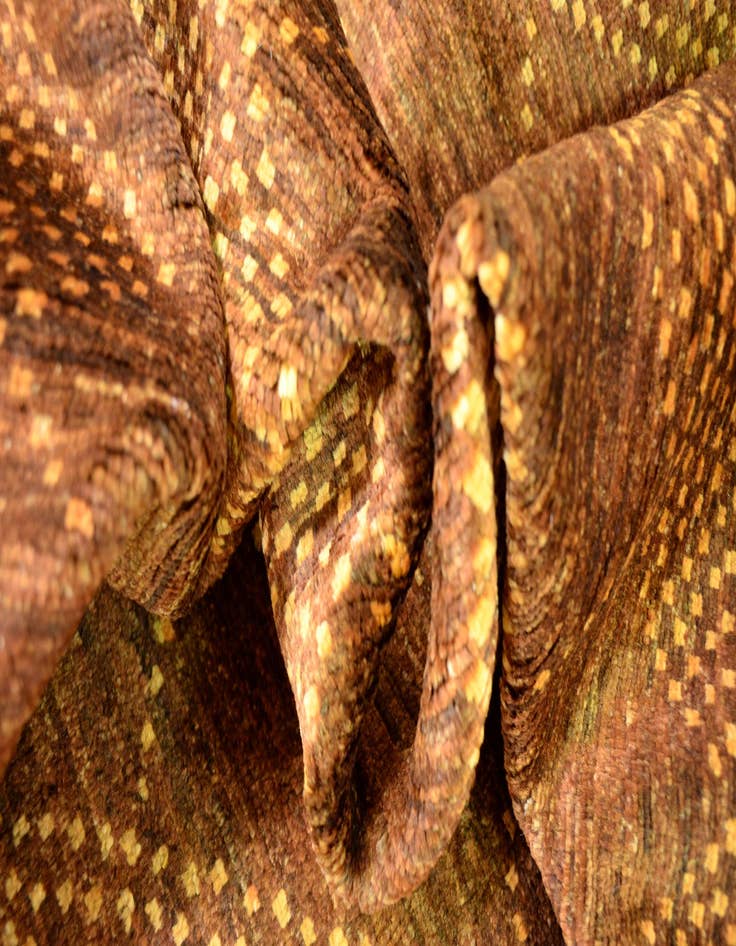 Detail image of 5' 7 x 7' 8  Hand Knotted Modern Ziegler Oriental Rug